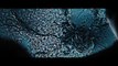 Maze Runner: The Scorch Trials Official Trailer #2 (2015) - Dylan OBrien Sci-Fi Adventure HD