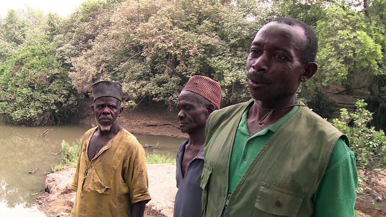 Nigerias letzte Elefanten sind in Gefahr