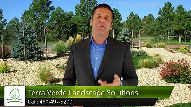 Reviews of Terra Verde Landscaping Solutions