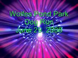 Wolfes Pond Park Dog Run - 6/29/08