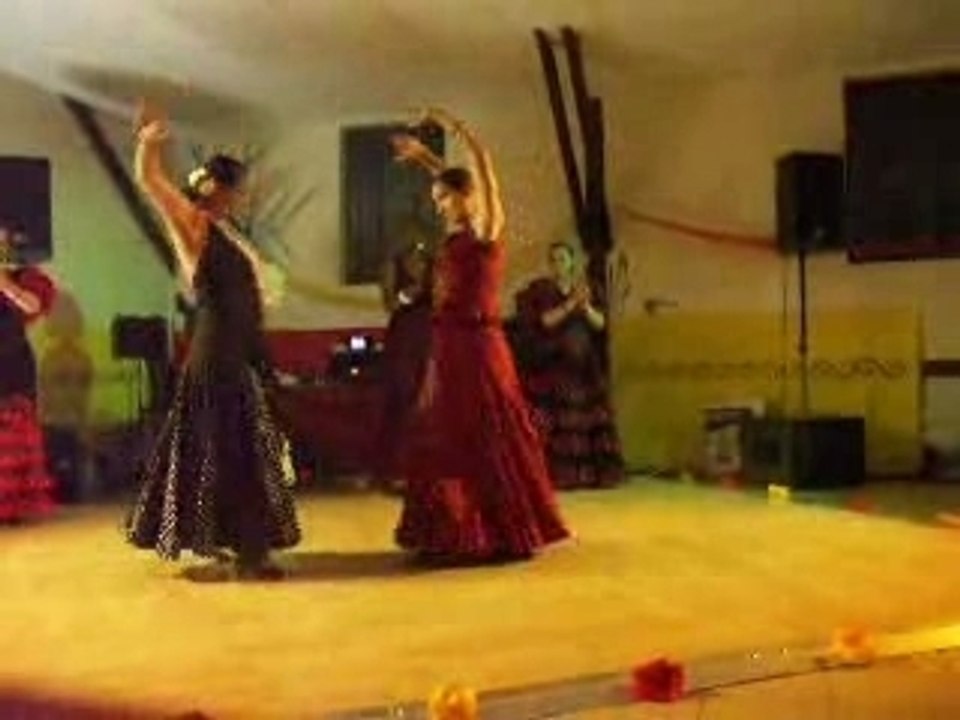 Video1