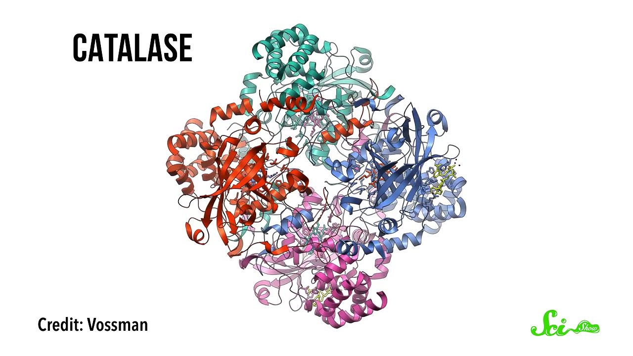 Should You Use Hydrogen Peroxide to Clean Wounds?