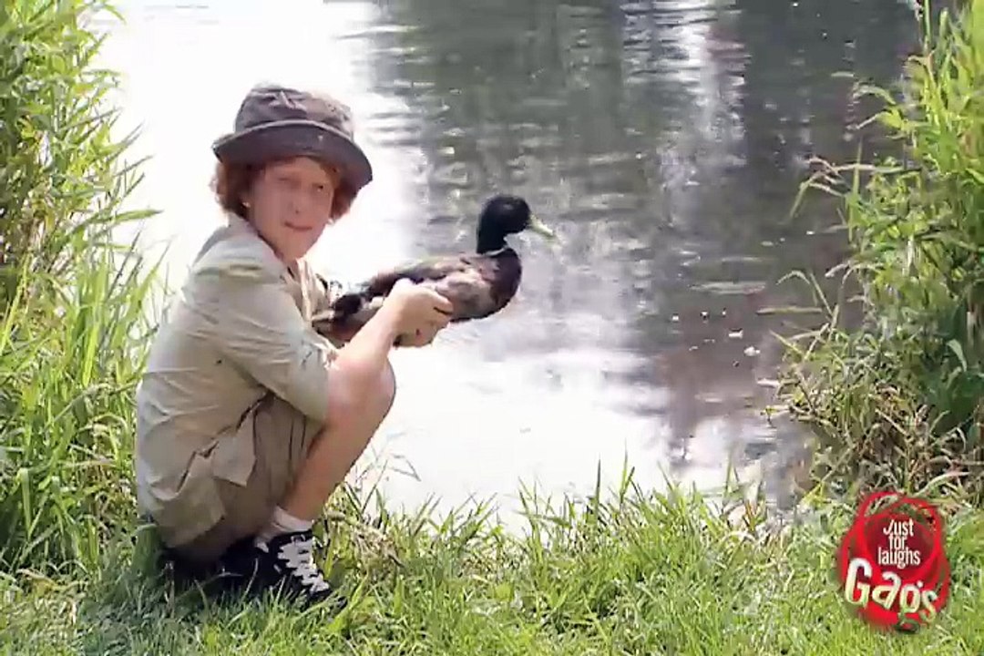 Whack A Duck