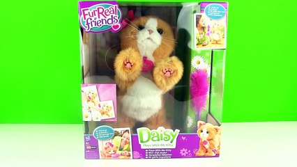 FurReal Friends Oyuncu Kedicik Daisy