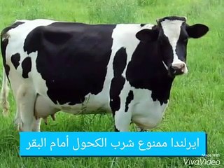 اغرب معلومات مدهشه عن بعض الدول 2