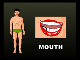 English Learning For Children: Parts of The Body : Teaching Parts of Body