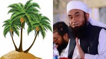 (Mojiza) Tree Of Khajoor Cry Loudly For Prophet SAW By Maulana Tariq Jameel 2016