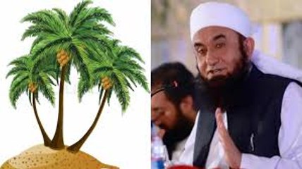 (Mojiza) Tree Of Khajoor Cry Loudly For Prophet SAW By Maulana Tariq Jameel 2016