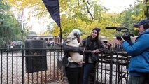 Doug The Pug - Tompkins Square Park Halloween Dog Parade