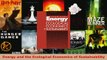 Energy and the Ecological Economics of Sustainability