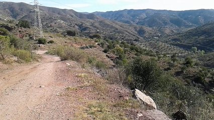 derrière chez moi savez-vous quoiqu'il y a ??