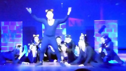 Junior B Musical - CATS 1314