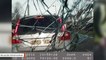 Bizarre Dashcam Video Shows Two Men Throwing Bricks At Patrol Car