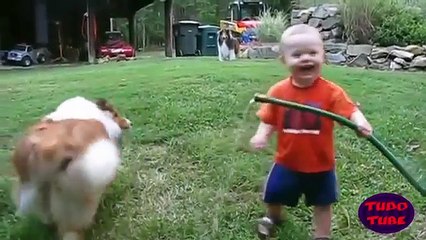 Bebes que amam cachorros