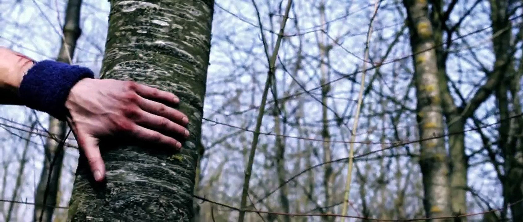 Dragon Ball Z: The Fall Of Men [Test Footage]