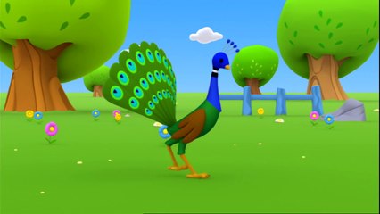 Çizgi film - Musti - Güneş ve gölge - Türkçe dublaj