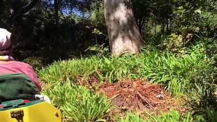 ENCHANTED RAILROAD at Descanso Gardens | Mini Train Ride | Liam and Taylor's Corner