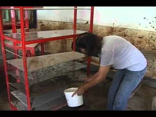 Distrito de Riograndina, em N Friburgo, atingido pelas chuvas