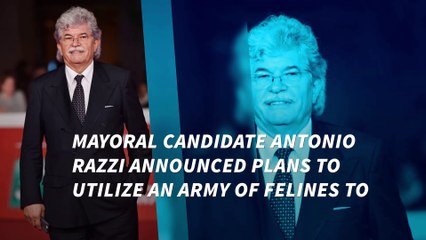 500,000 cats may be the solution to Rome's rat crisis