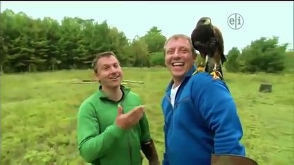 Wild Kratts Raptor Round Up 2014