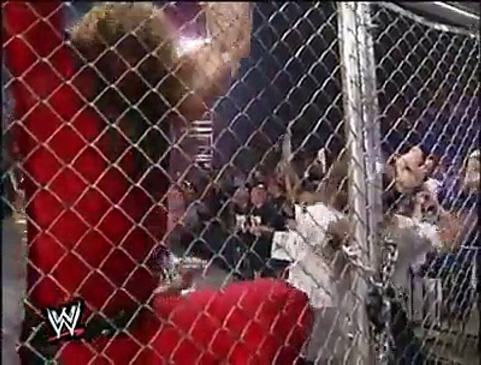 UnderTaker and Stone Cold destory kane and Mankind