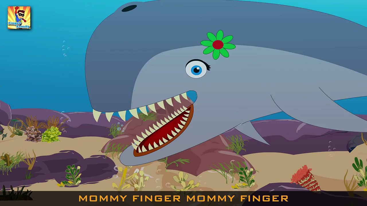Finger Family Rhymes for Children Moby Dick | Animal Cartoons Finger Family