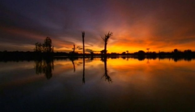 Amazonas Salvaje. 1- La Cuna de la Vida documental completo latino