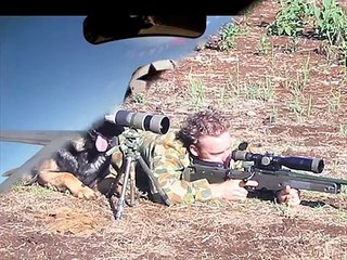 United States Military and Coalition Forces Funny Pics & Video