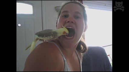 Norman Wisdom - golf sequence from The Early Bird - 65