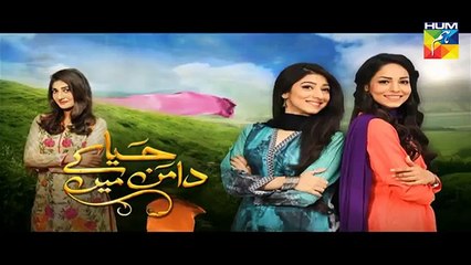 Haya Kay Daman Main Episode 14 Promo HUM TV Drama 14 April 2016 - Dailymotion