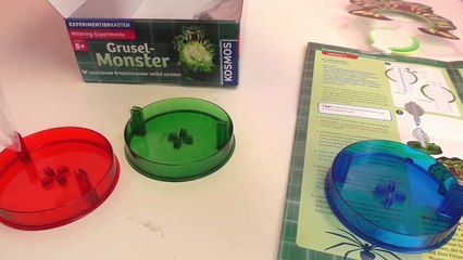 Montre qui fait peur Kosmos formation de cristaux démo Partie 1