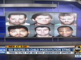Six men busted in child prostitution sting