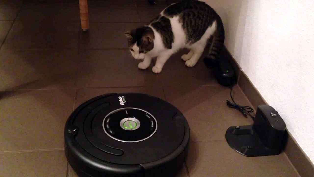 Roomba IRobot on tiles 650