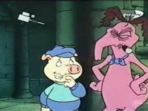 Some other world-A Racoons video