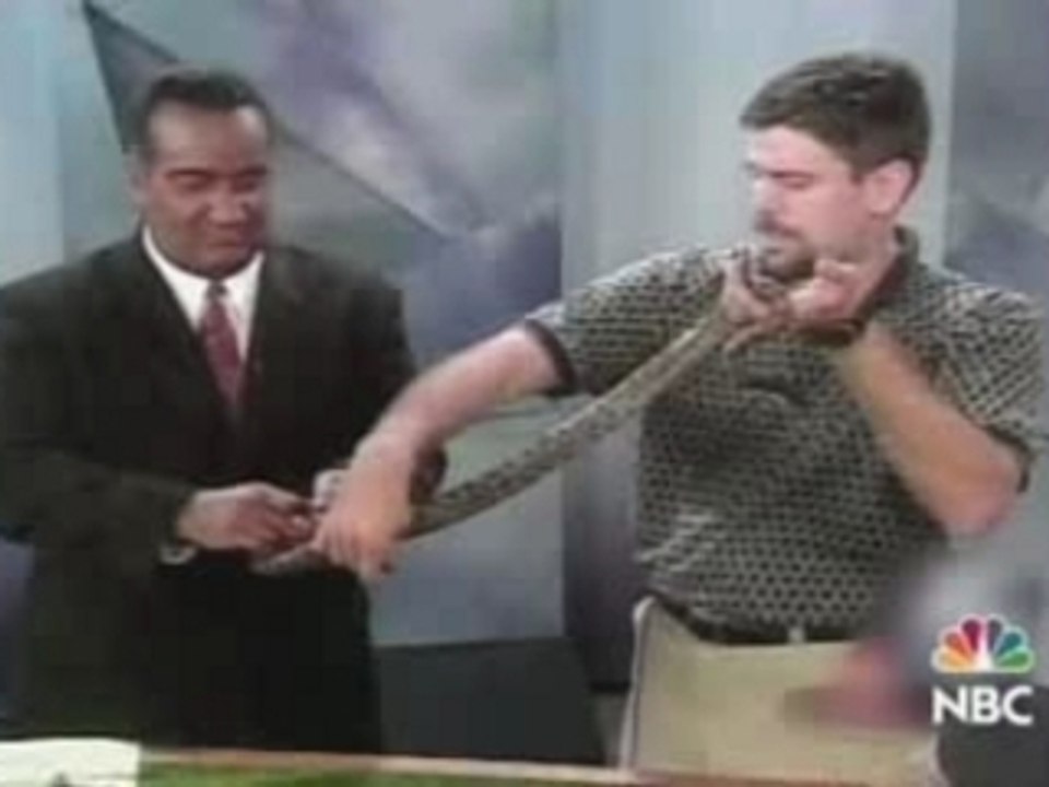 Vidéo avec animaux - Rat Jump On Guy -par Plop production