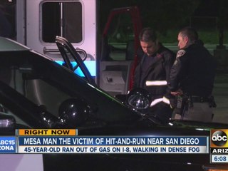 Mesa man killed in San Diego hit and run