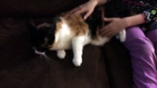 Marmalade my best friend