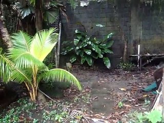 Noli Me Tangere: Kabanata 41