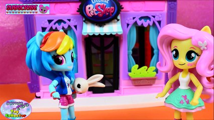 Télécharger la video: My Little Pony Equestria Girls Minis Fluttershy Meets Angel MLP Episode 1 SETC