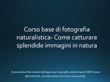 Download Corso base di fotografia naturalistica- Come catturare splendide immagini in natura PDF