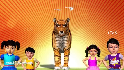 Animal Finger Family - Finger Family Song - 3D Animation Nursery Rhymes & Songs for Childr