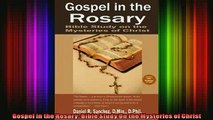 Download  Gospel in the Rosary Bible Study On the Mysteries of Christ Full EBook Free