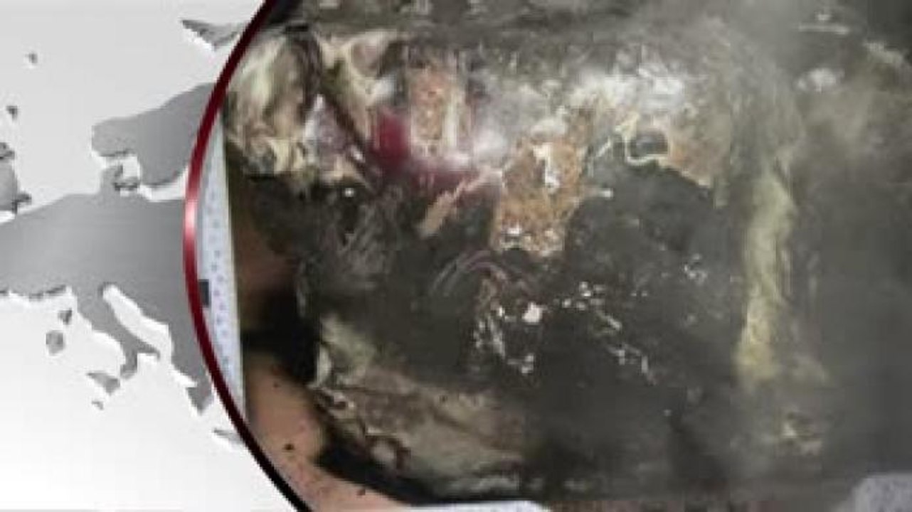#MundoEnClaro Confirman que piloto estrelló avión de Germanwings