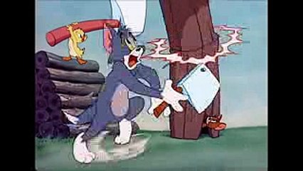 Tom and Jerry, 47 Episode - Little Quacker (1950)