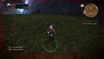 The Witcher 3: Wild Hunt Bug saindo do mapa