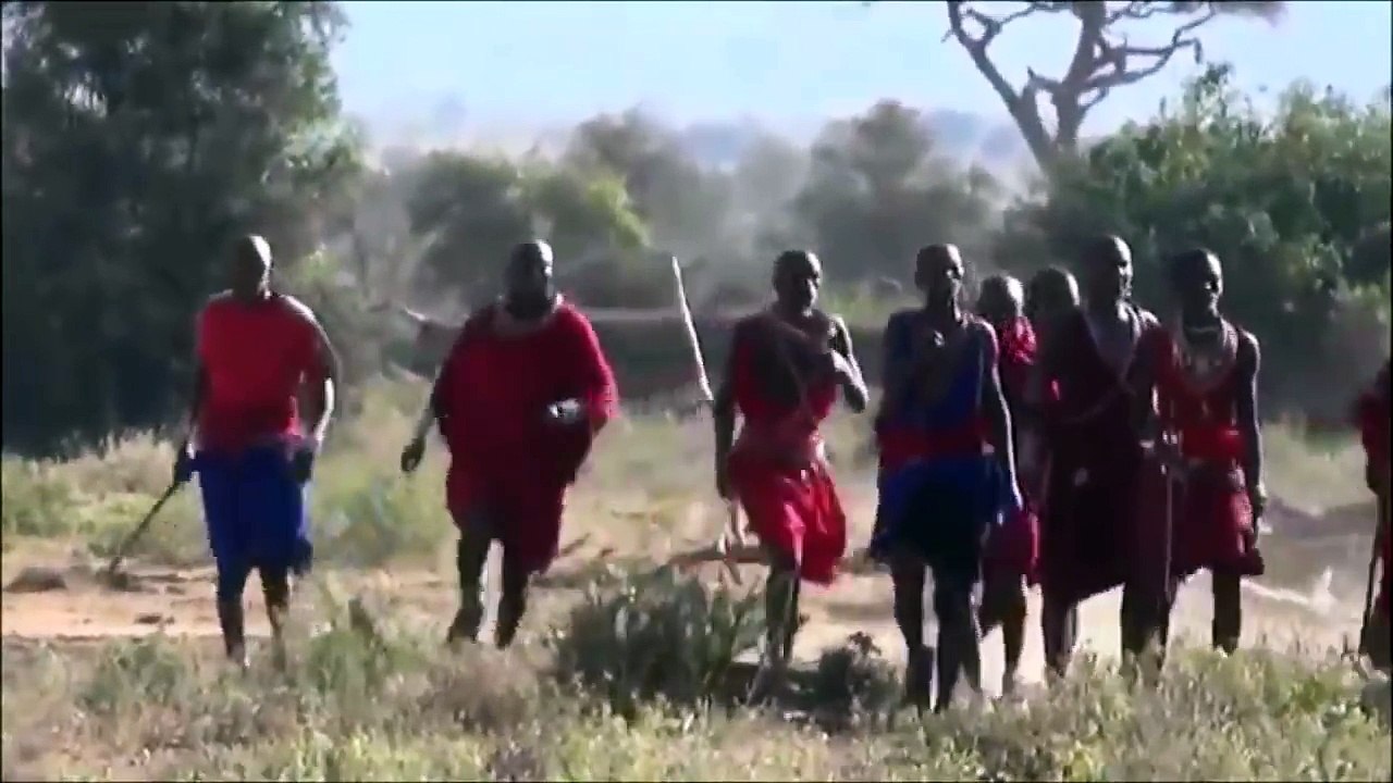 Maasai vs Lion - Masai Attack Lion and Steal Meat