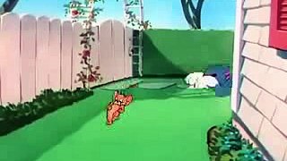 Tom And Jerry Cartoon in Urdu