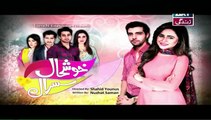 Khushhaal Susral Episode 4 on Ary Zindagi - 14th April 2016