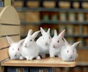 Toys R Us Peter Cottontail Hippity Hop Easter Song Singing Bunnies!