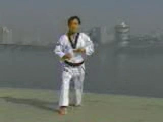 Tae kwon do Forma Cinturon Amarillo hacia verde